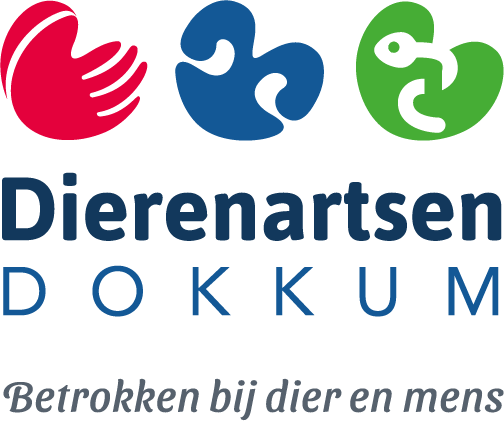 Logo Dokkum Dierenartsen kleur met tagline