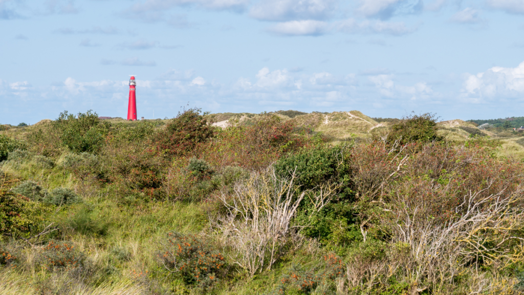 Dierenartsen Dokkum Schiermonnikoog MTS Holwerda 2