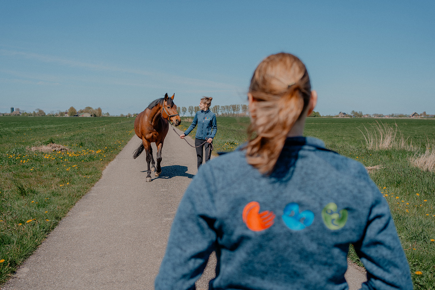 Dierenartsen Dokkum dag 1-341-koliek-header-mob