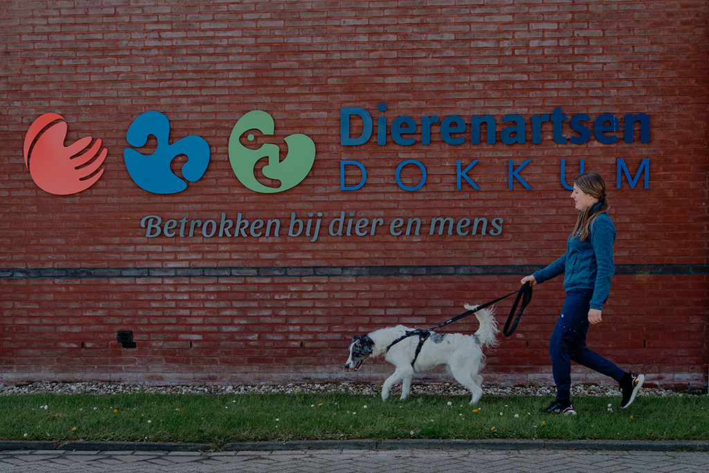 Dierenartsen Dokkum dag 2-149-header dienst