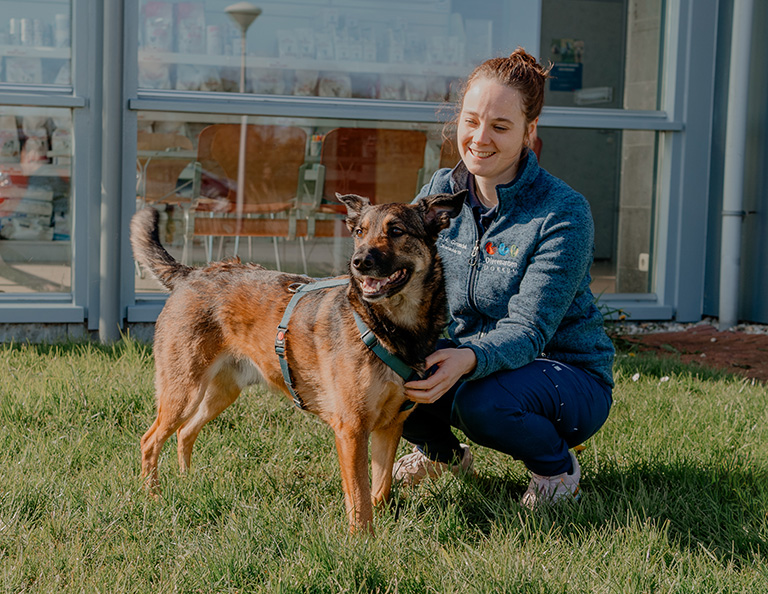 Dierenartsen Dokkum dag 2-102-urine-onderzoek